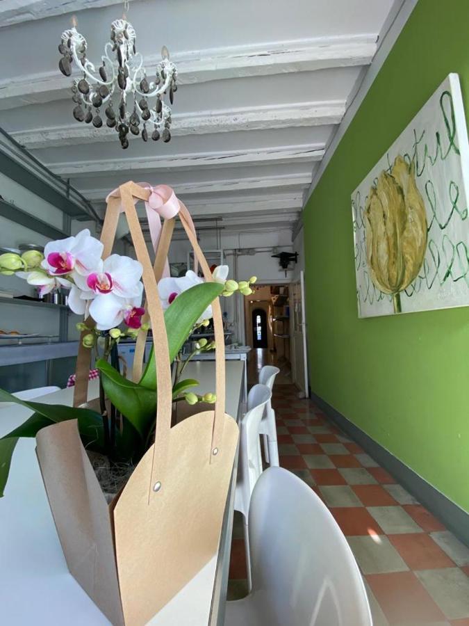 19 Borgo Cavour Bed & Breakfast Treviso Exterior foto