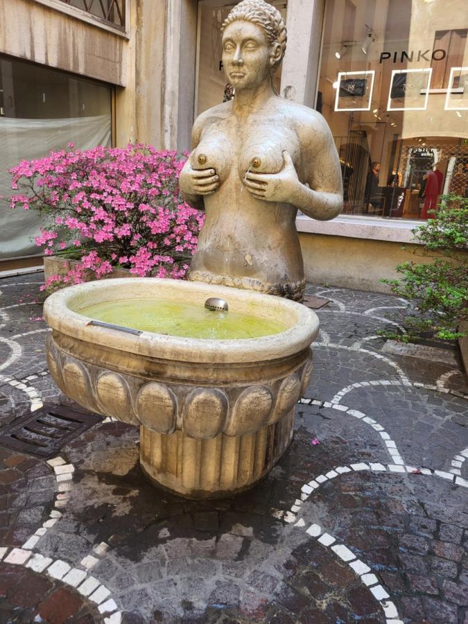 19 Borgo Cavour Bed & Breakfast Treviso Exterior foto