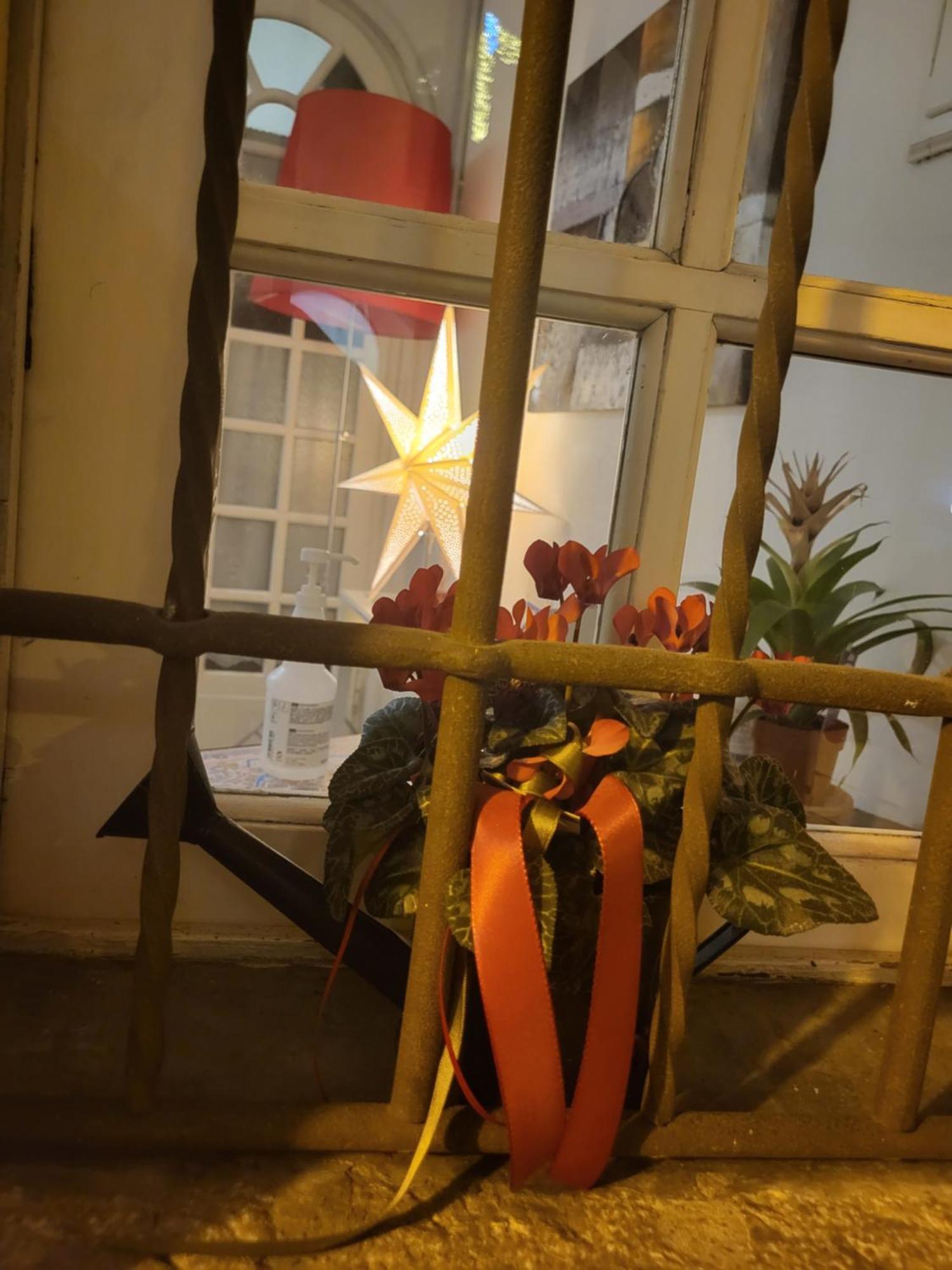 19 Borgo Cavour Bed & Breakfast Treviso Exterior foto