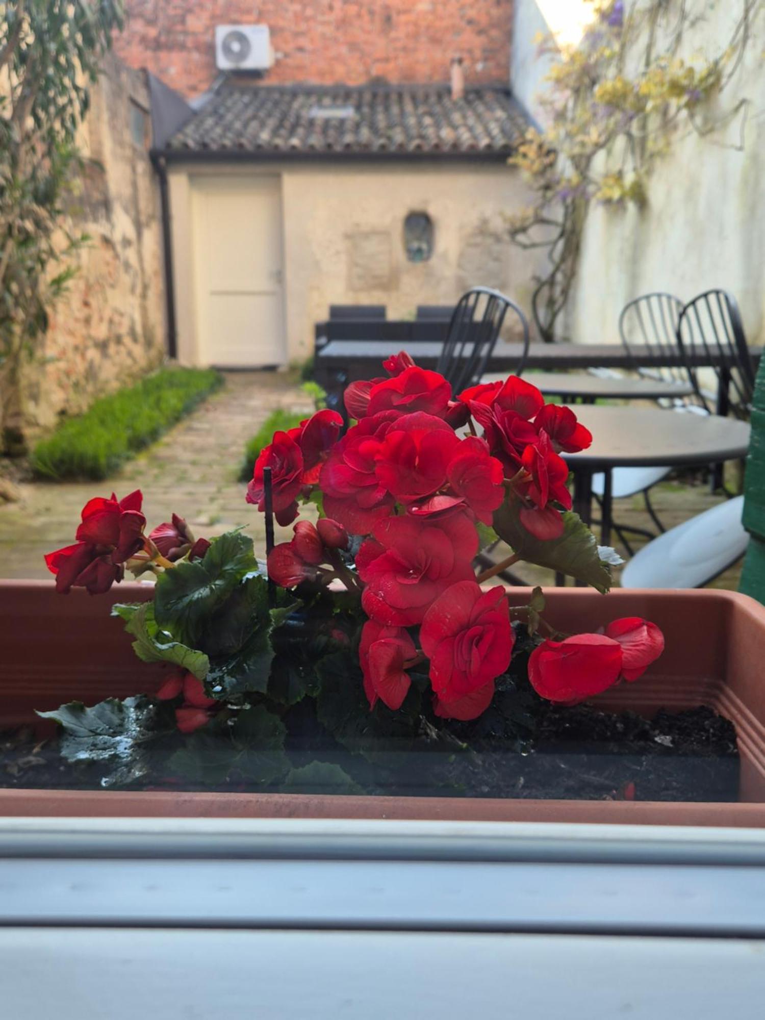 19 Borgo Cavour Bed & Breakfast Treviso Exterior foto