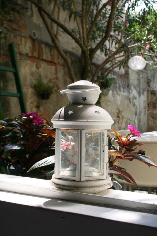 19 Borgo Cavour Bed & Breakfast Treviso Exterior foto